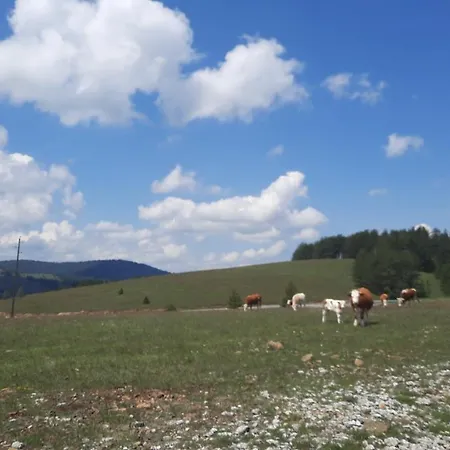 Pogled - Апартаменты Златибор