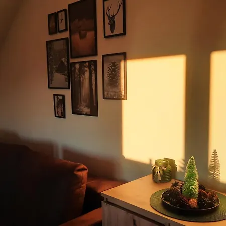 Апартаменты Pogled - Златибор