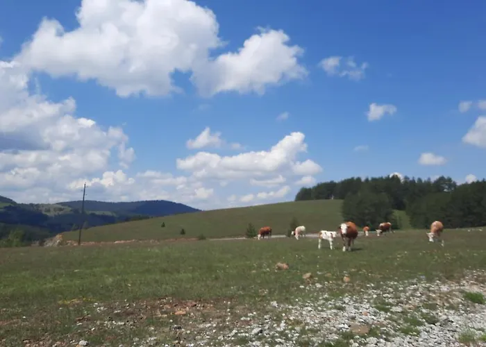 Pogled - 아파트 즐라티보