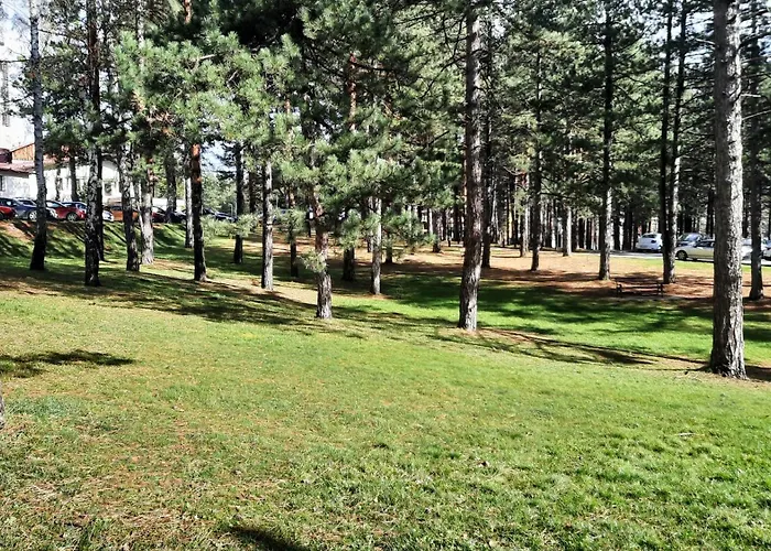 Pogled - 즐라티보